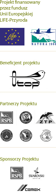 Wodniczka - Wodniczka - prawa kolumna logosy (PL)