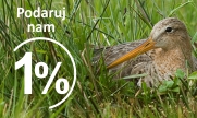 1% 2012